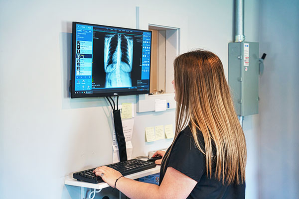 Chiropractic Eaton Rapids MI X-Ray Computer