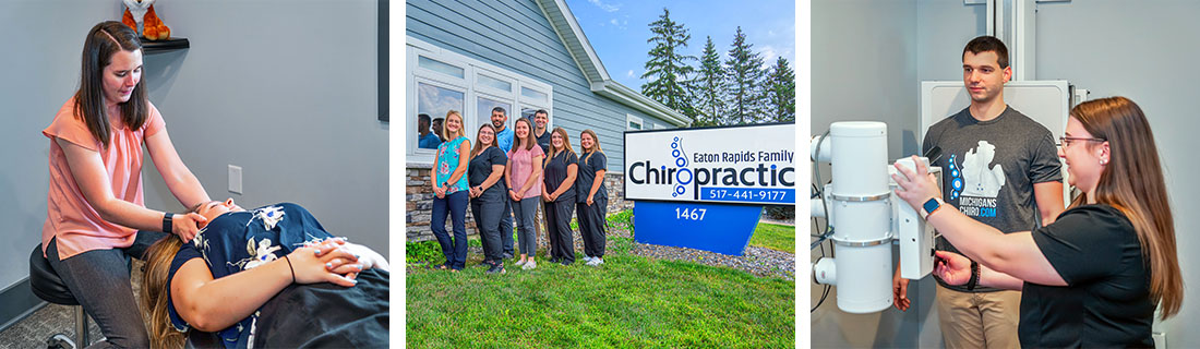 Chiropractor Eaton Rapids MI Jessica Colman and Team Grid